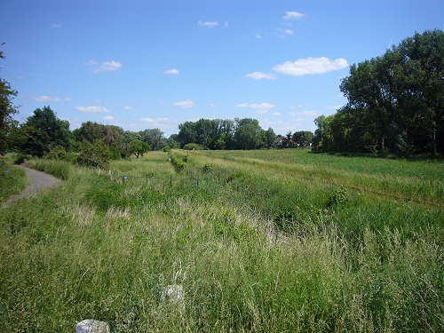 Verlauf des Querumer Kanals heute (Ottenroder Straße Richtung Nordwest)