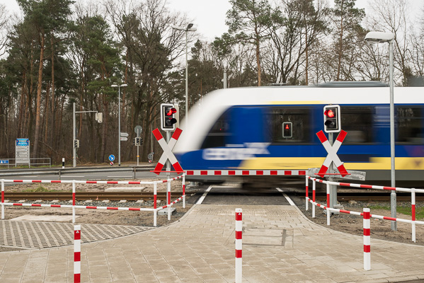 Erix kreuzt den Steinriedendamm